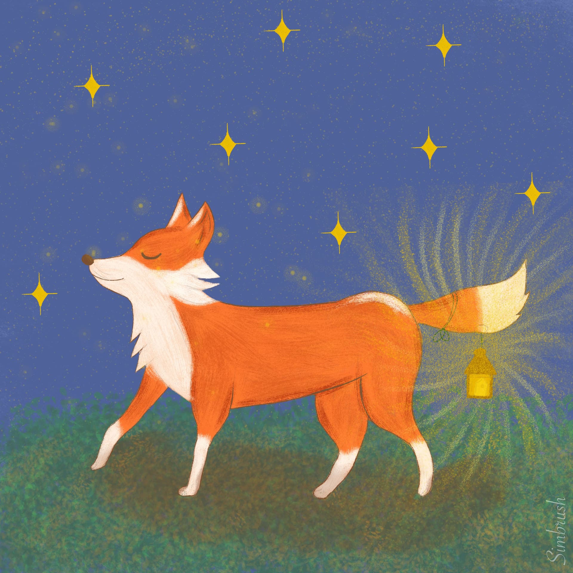 Fox and Stars